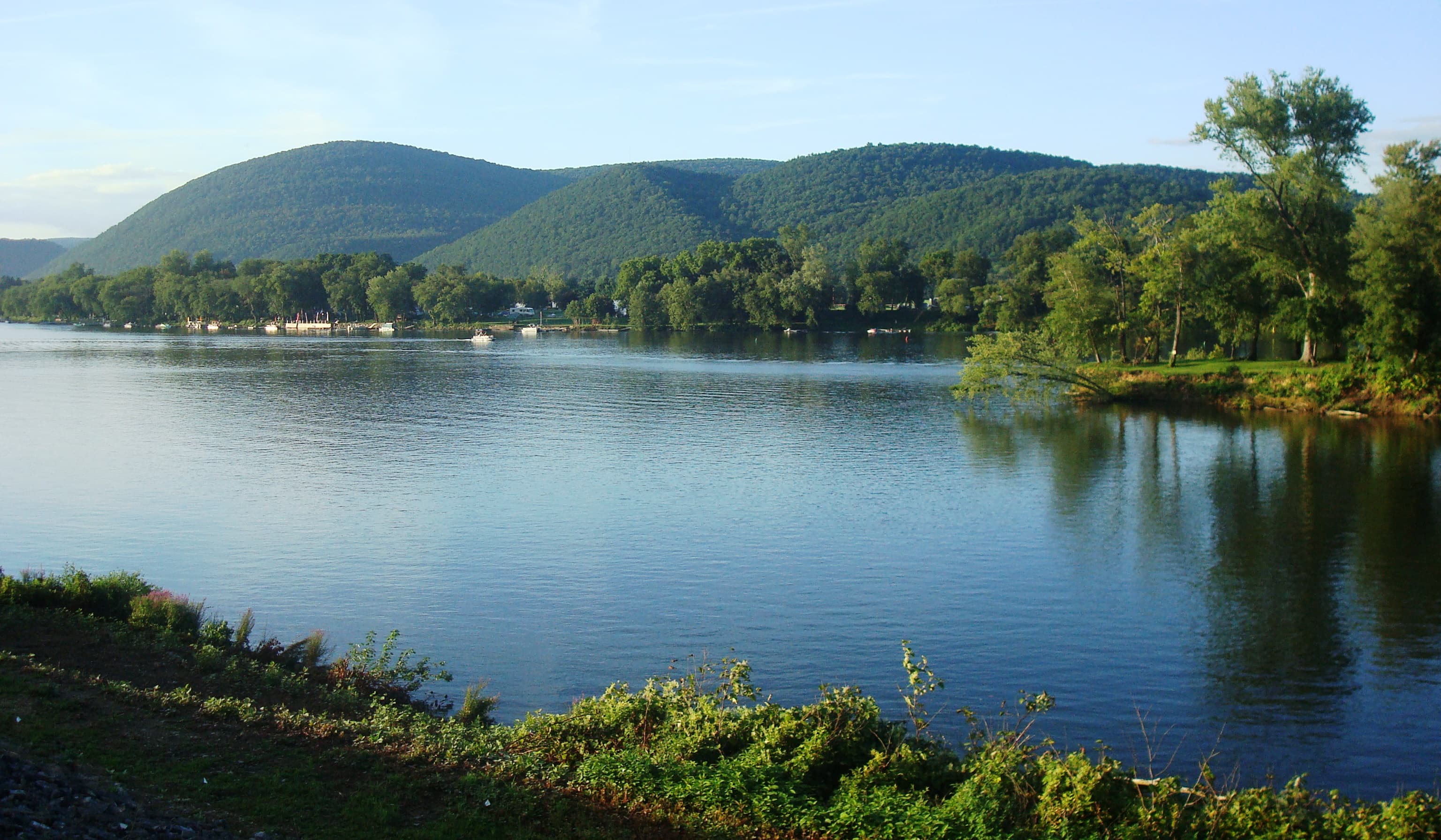 The West Branch Susquehanna River flowing between tree-lined banks under a cloudy sky, seen from the riverwalk in Lock Haven, Pennsylvania, near Avis