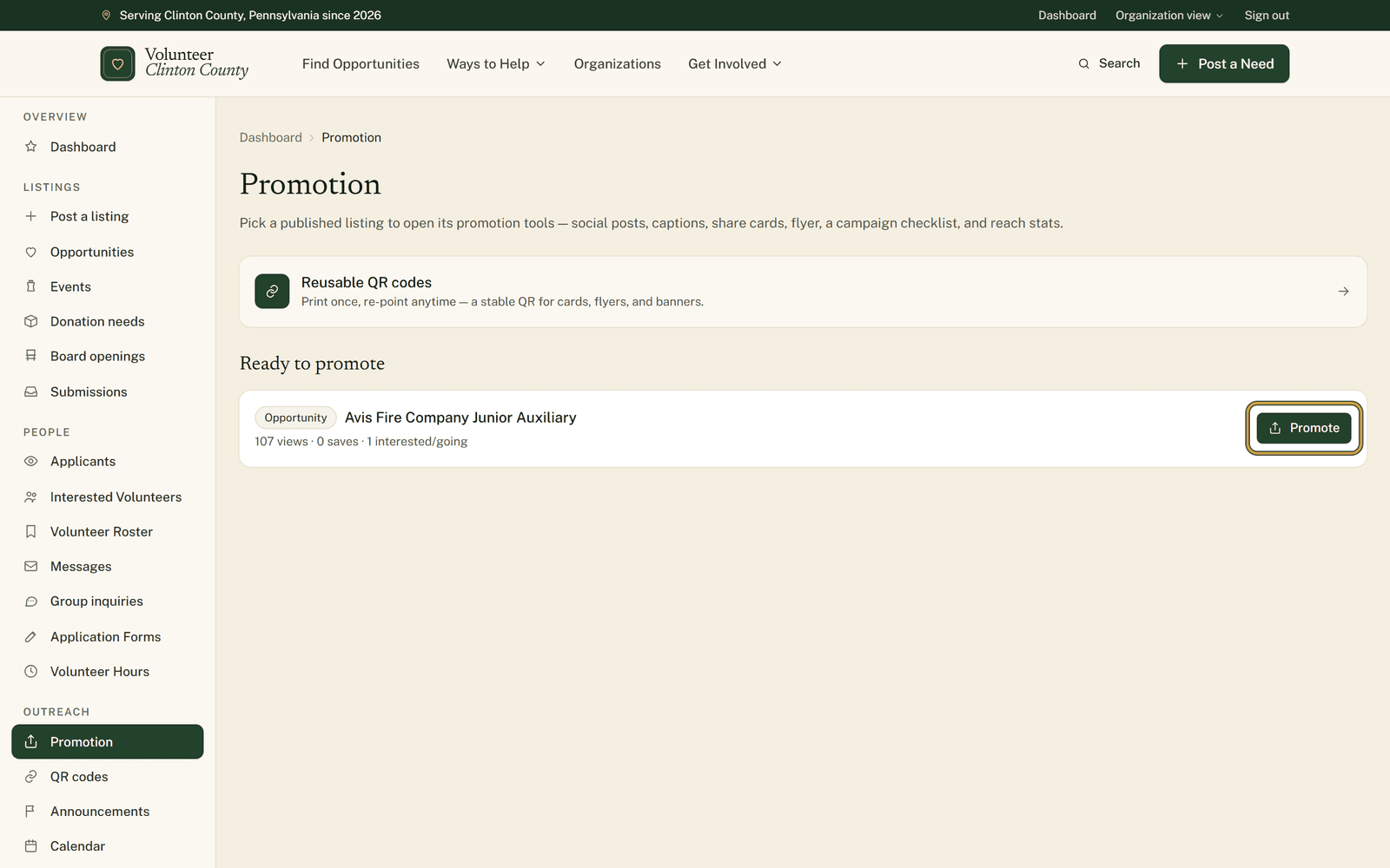 The Promotion page showing a published listing under Ready to promote with its view and save counts, and the green Promote button beside it highlighted.